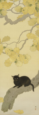 重要文化財　菱田春草「黒き猫」明治43年（1910）、永青文庫蔵（熊本県立美術館寄託）