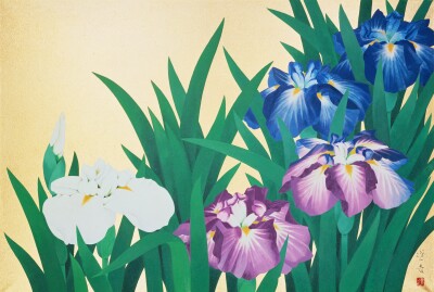 山口蓬春《花菖蒲》1965年、当館寄託【独立行政法人日本芸術文化振興会（国立劇場）蔵】