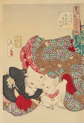 画像説明