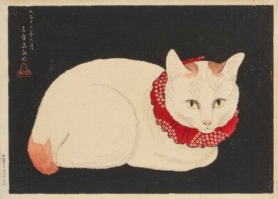 画像説明