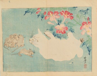 画像説明