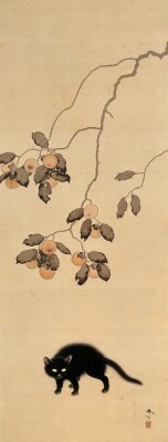 画像説明