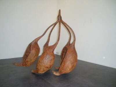 《めをつける》2016年　作家蔵