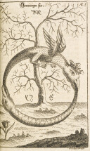 画像説明