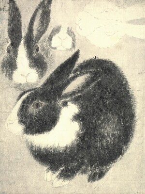 画像説明