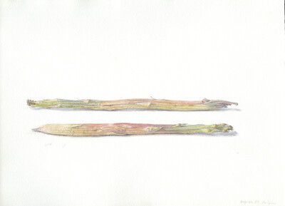 画像説明