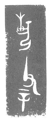画像説明