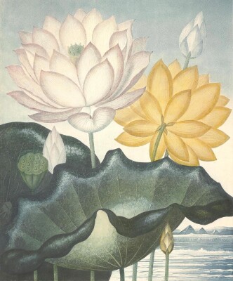 画像説明