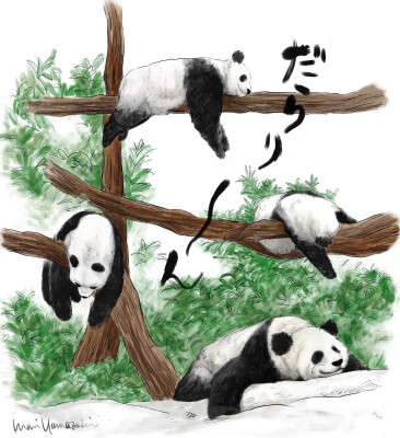 画像説明