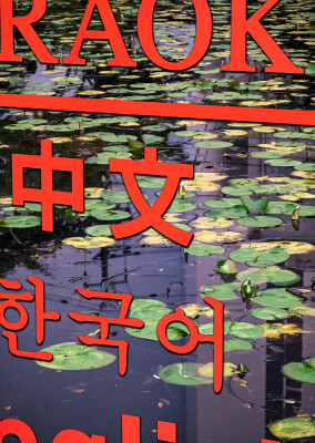 画像説明