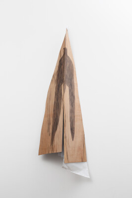 《飛行機》2015年 撮影：来田猛(Takeru Koroda)